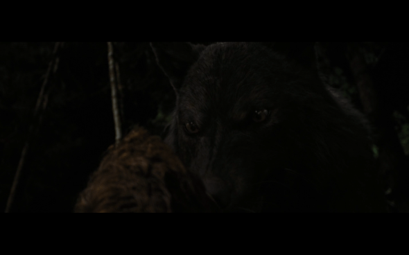 The Twilight Saga Breaking Dawn Part 1 - 1201