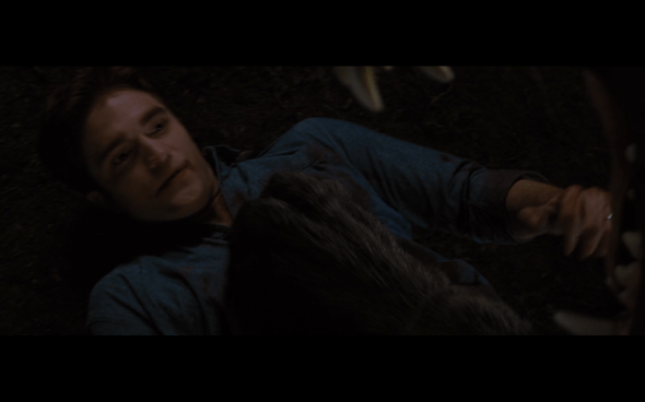 The Twilight Saga Breaking Dawn Part 1 - 1202