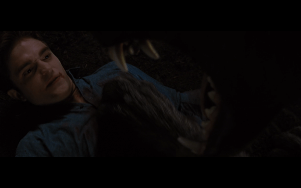 The Twilight Saga Breaking Dawn Part 1 - 1203