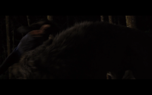 The Twilight Saga Breaking Dawn Part 1 - 1204