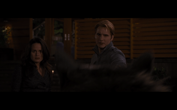 The Twilight Saga Breaking Dawn Part 1 - 1206