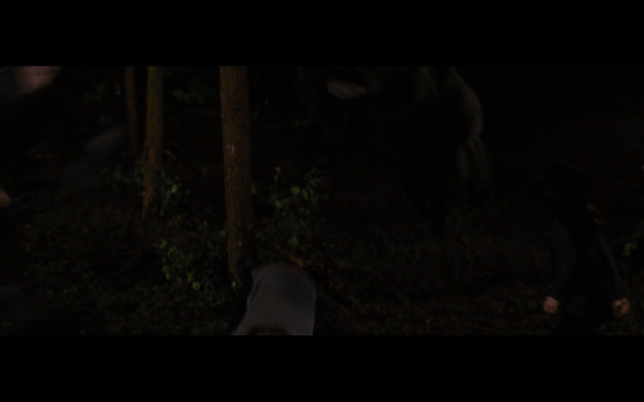 The Twilight Saga Breaking Dawn Part 1 - 1207