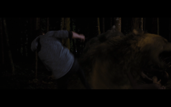 The Twilight Saga Breaking Dawn Part 1 - 1208