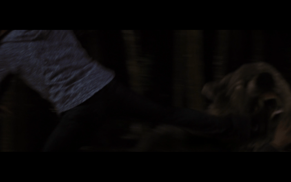 The Twilight Saga Breaking Dawn Part 1 - 1210