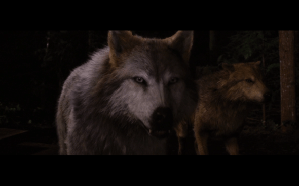 The Twilight Saga Breaking Dawn Part 1 - 1212