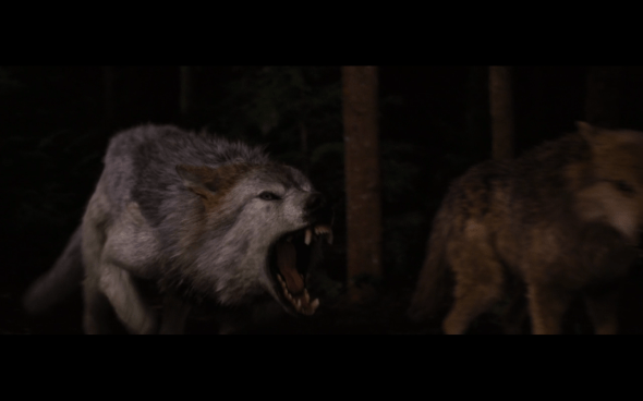 The Twilight Saga Breaking Dawn Part 1 - 1216