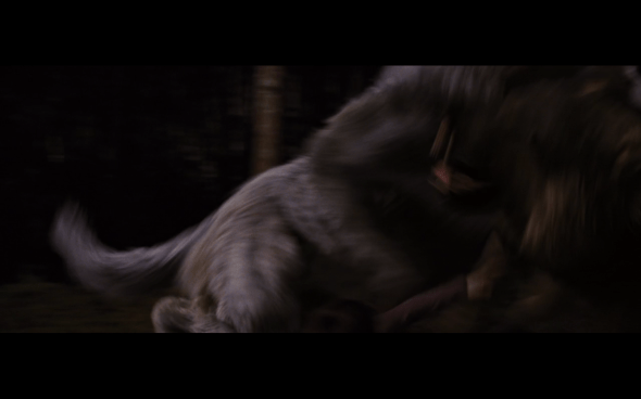 The Twilight Saga Breaking Dawn Part 1 - 1217