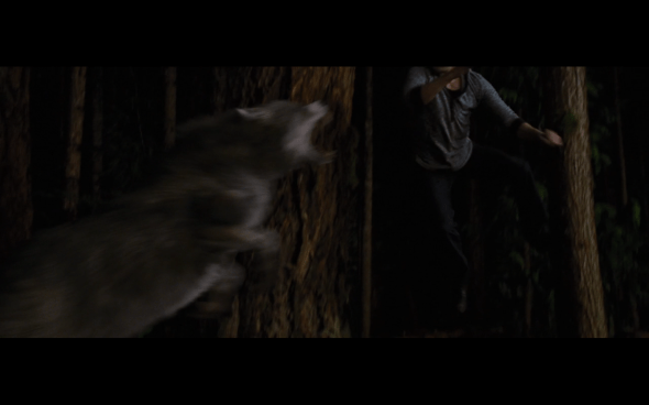 The Twilight Saga Breaking Dawn Part 1 - 1218
