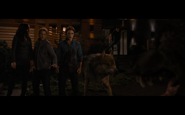 The Twilight Saga Breaking Dawn Part 1 - 1224
