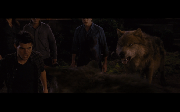 The Twilight Saga Breaking Dawn Part 1 - 1226