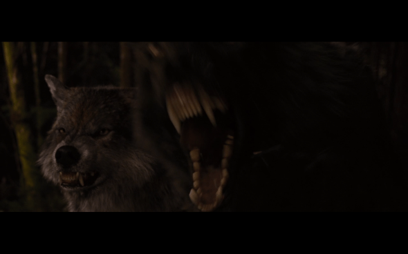 The Twilight Saga Breaking Dawn Part 1 - 1228