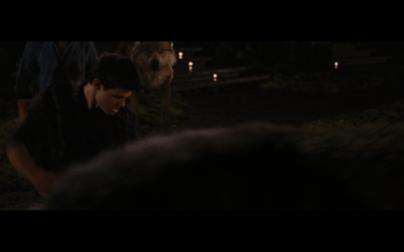 The Twilight Saga Breaking Dawn Part 1 - 1229