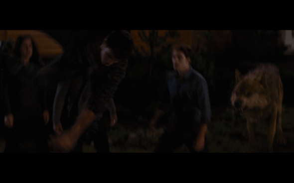 The Twilight Saga Breaking Dawn Part 1 - 1230
