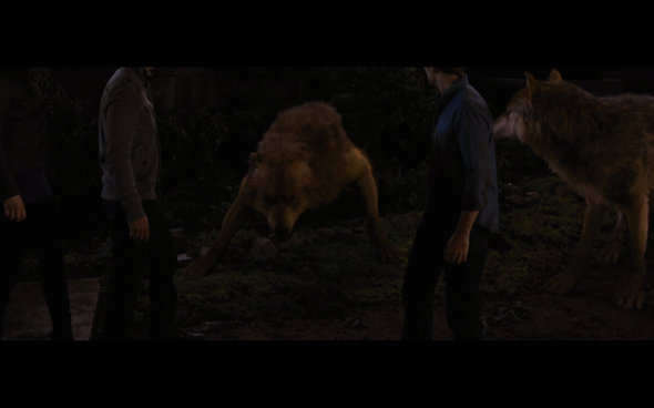 The Twilight Saga Breaking Dawn Part 1 - 1233