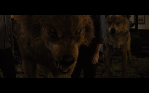 The Twilight Saga Breaking Dawn Part 1 - 1235