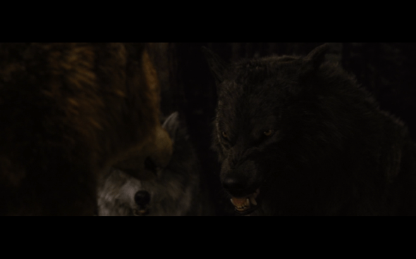 The Twilight Saga Breaking Dawn Part 1 - 1236