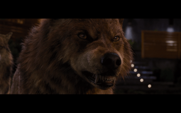 The Twilight Saga Breaking Dawn Part 1 - 1238