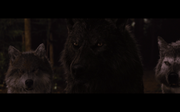 The Twilight Saga Breaking Dawn Part 1 - 1239