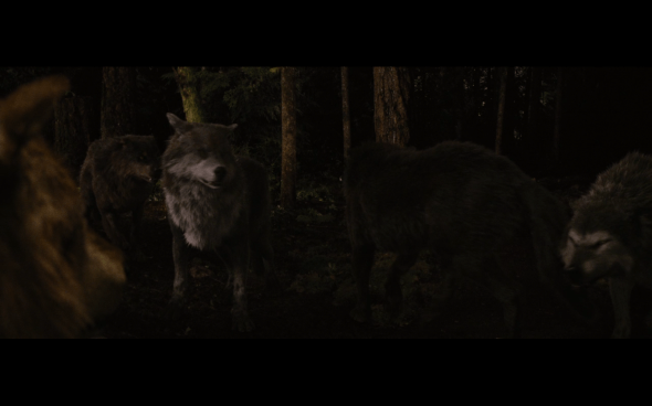 The Twilight Saga Breaking Dawn Part 1 - 1242