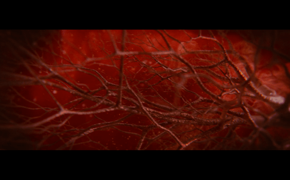 The Twilight Saga Breaking Dawn Part 1 - 1261