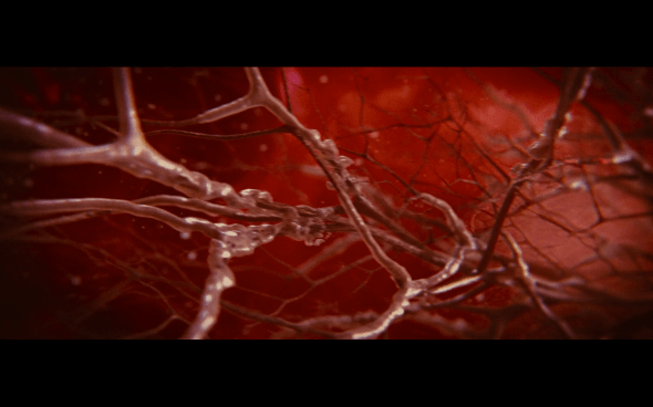 The Twilight Saga Breaking Dawn Part 1 - 1262