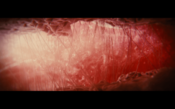 The Twilight Saga Breaking Dawn Part 1 - 1267