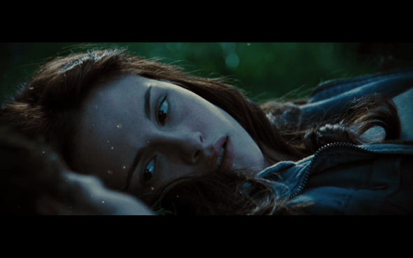 The Twilight Saga Breaking Dawn Part 1 - 1272