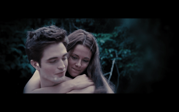 The Twilight Saga Breaking Dawn Part 1 - 1274