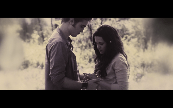 The Twilight Saga Breaking Dawn Part 1 - 1276