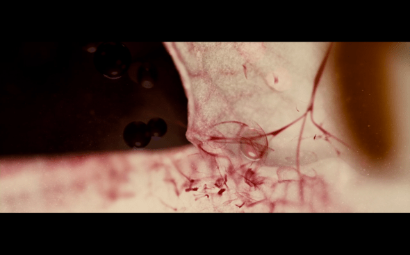 The Twilight Saga Breaking Dawn Part 1 - 1285