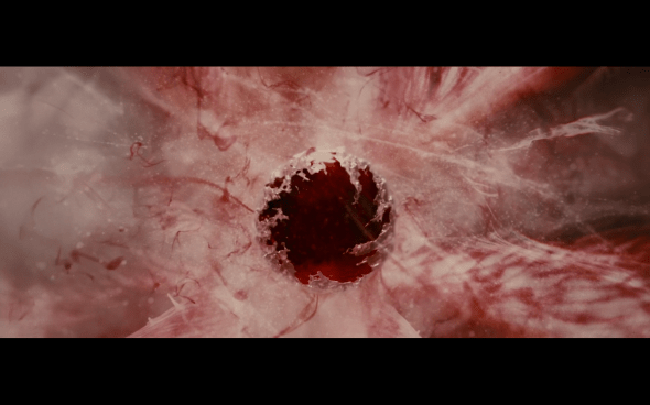 The Twilight Saga Breaking Dawn Part 1 - 1292