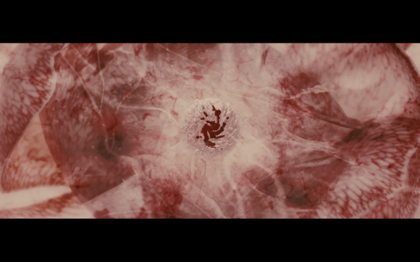 The Twilight Saga Breaking Dawn Part 1 - 1293