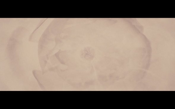 The Twilight Saga Breaking Dawn Part 1 - 1294