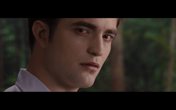 The Twilight Saga Breaking Dawn Part 1 - 1298