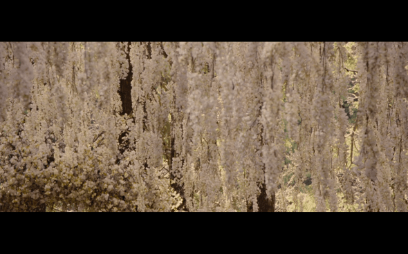 The Twilight Saga Breaking Dawn Part 1 - 152