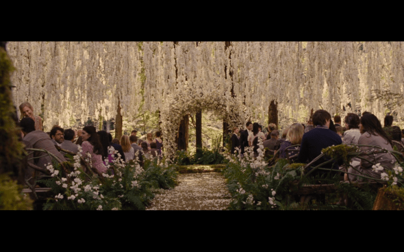 The Twilight Saga Breaking Dawn Part 1 - 155