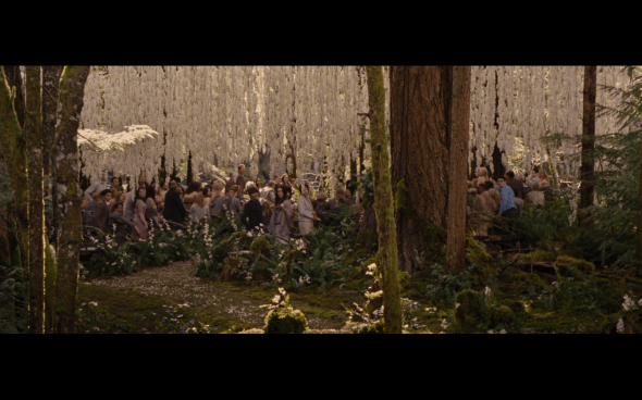 The Twilight Saga Breaking Dawn Part 1 - 169