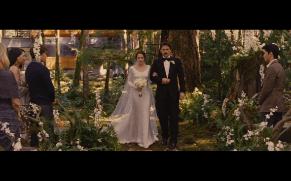 The Twilight Saga Breaking Dawn Part 1 - 189