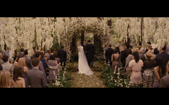 The Twilight Saga Breaking Dawn Part 1 - 197