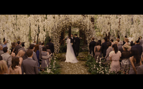 The Twilight Saga Breaking Dawn Part 1 - 198