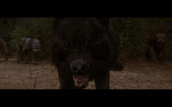 The Twilight Saga Breaking Dawn Part 1 - 243