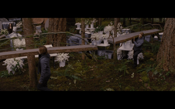 The Twilight Saga Breaking Dawn Part 1 - 26