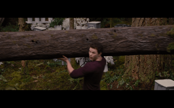 The Twilight Saga Breaking Dawn Part 1 - 27