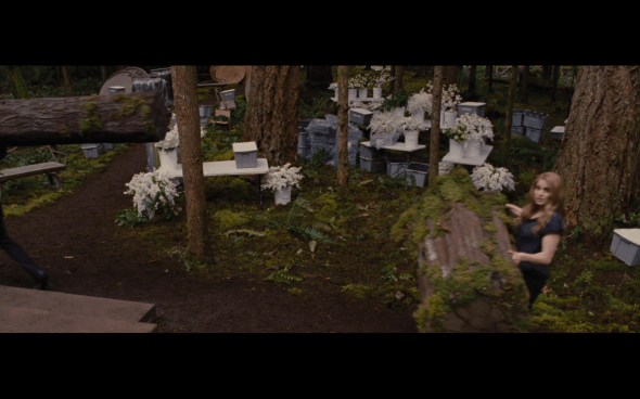 The Twilight Saga Breaking Dawn Part 1 - 29
