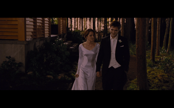 The Twilight Saga Breaking Dawn Part 1 - 290