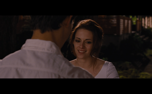 The Twilight Saga Breaking Dawn Part 1 - 300