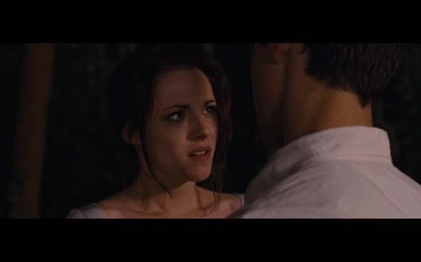 The Twilight Saga Breaking Dawn Part 1 - 306