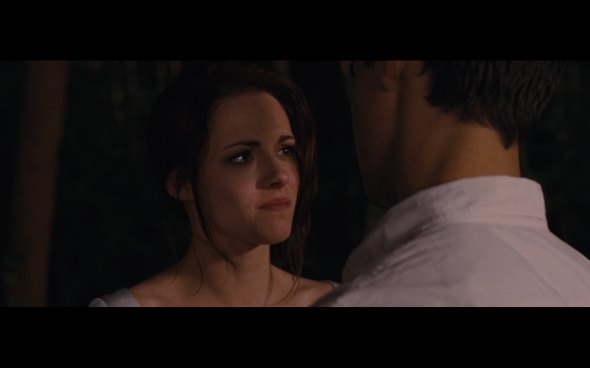 The Twilight Saga Breaking Dawn Part 1 - 307