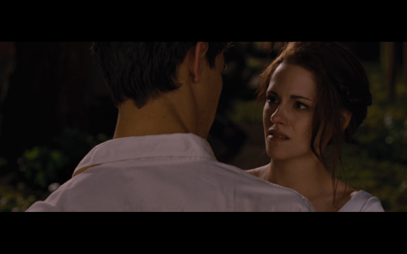 The Twilight Saga Breaking Dawn Part 1 - 322
