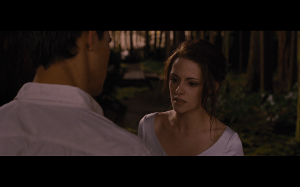 The Twilight Saga Breaking Dawn Part 1 - 324